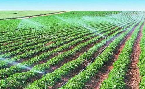 老妇女日批视频农田高 效节水灌溉